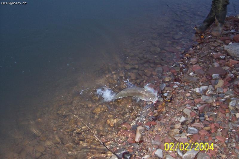 --29 11 2008 - ������� (����������)