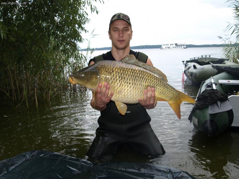 --���� - ������� (����������)