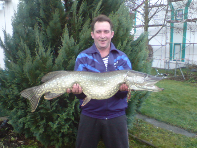 --����. - ������� (����������)