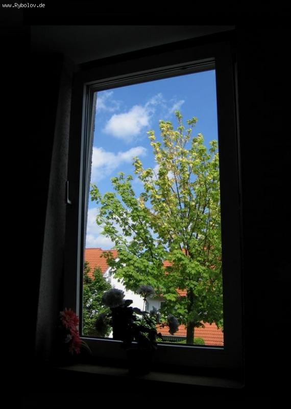 --���� � ����. - ������� (����������)