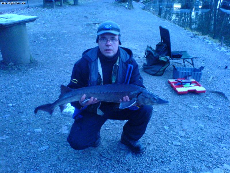 --St&ouml;r ������ �� ����� � ���������� 13.12.08 - ������� (����������)