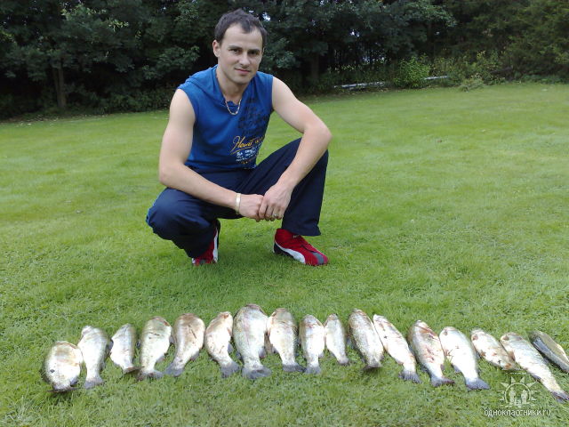 --������ - ������� (����������)