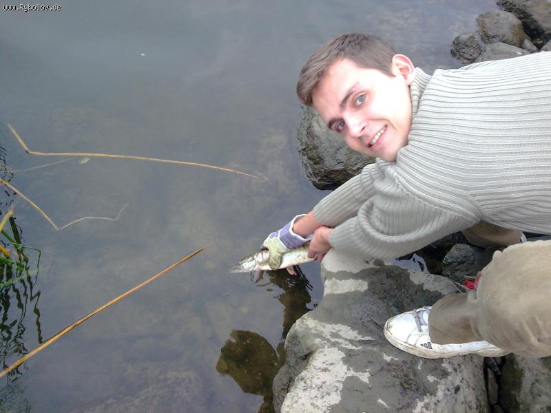 --��-�� ���� �� ����������, �������. - ������� (����������)