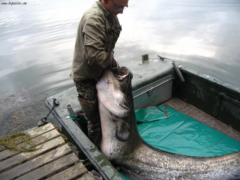 --�� ������! - ������� (����������)