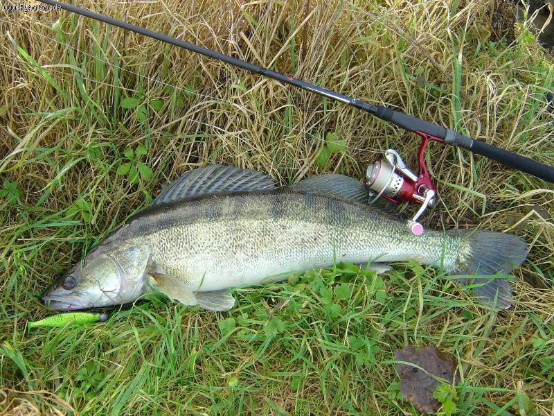 --����� � ����� - ������� (����������)