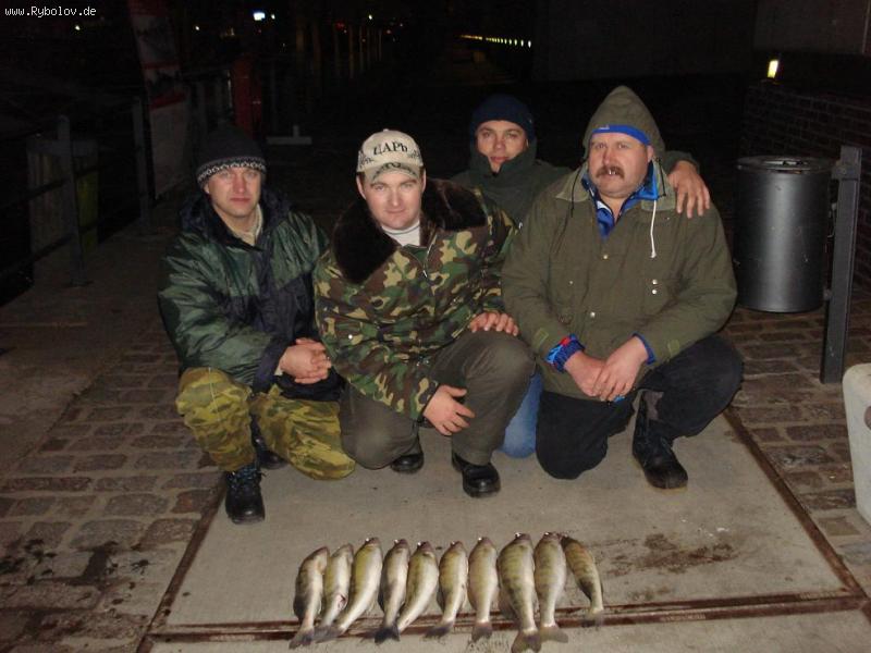 --   22  2008 !! -  ()