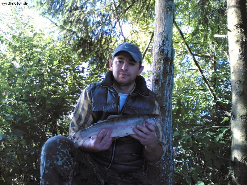 --sandsee Forell köder,schwimende Wobbler - ������� (����������)