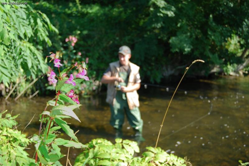 --�� �����. ������ 2008. - ������� (����������)