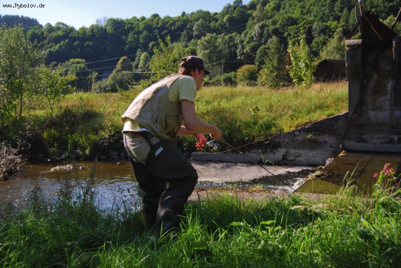 --�� �����. ������ 2008. - ������� (����������)