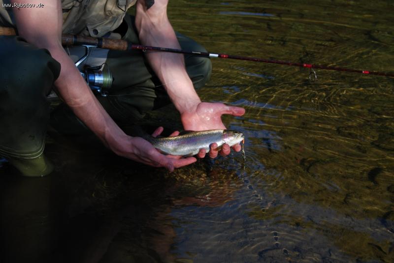 --�������� ������. - ������� (����������)