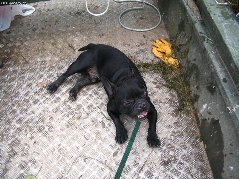 --M�� �������! - ������� (����������)