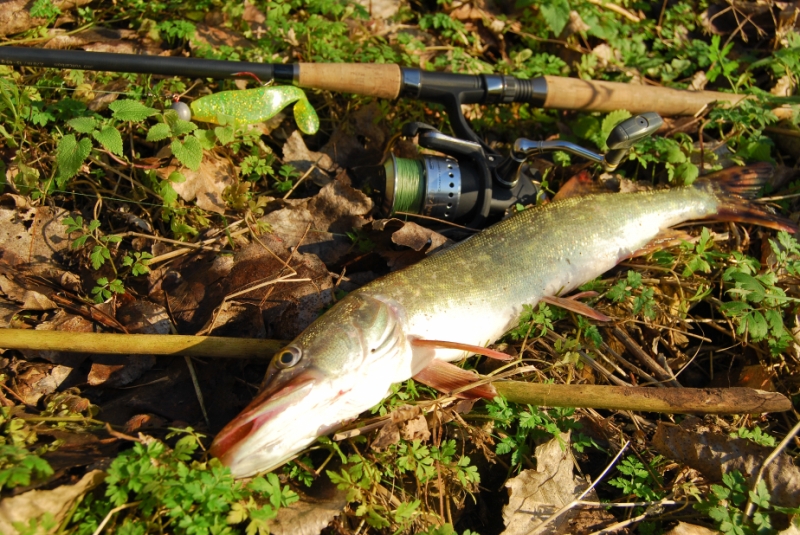 --��������� ����� � �����. - ������� (����������)