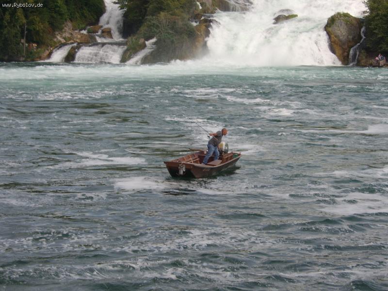 --� ������ ����... - ������� (����������)