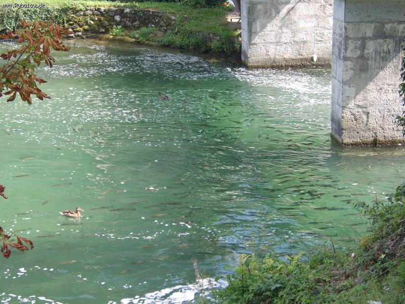 -- .... � �������� �������! - ������� (����������)