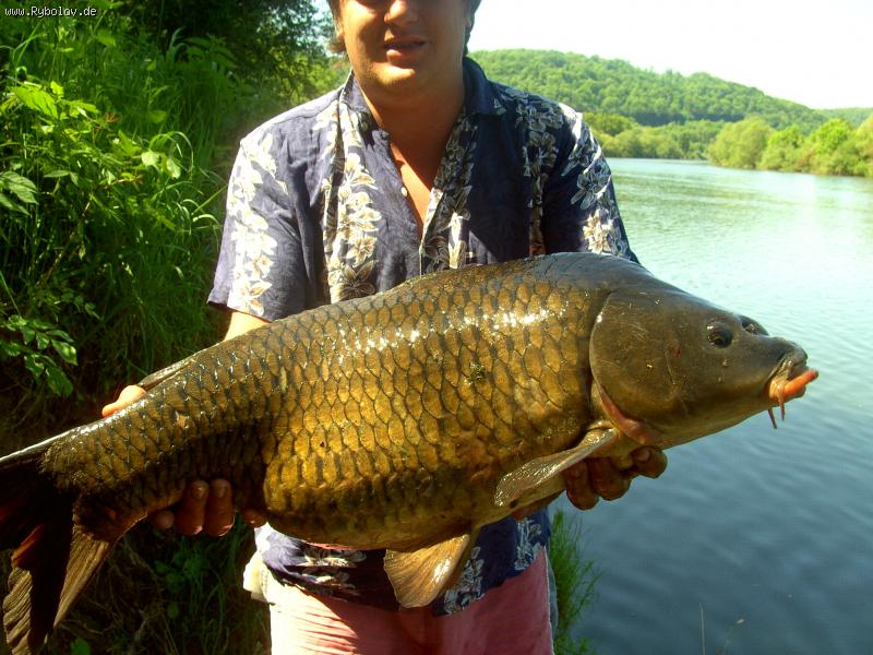 --���������� ������ - ������� (����������)