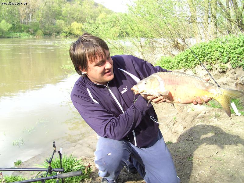 --��� ������ ������ � ������ - ������� (����������)