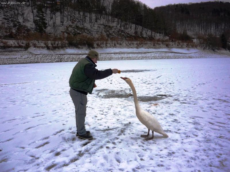 --��������� - ������� (����������)