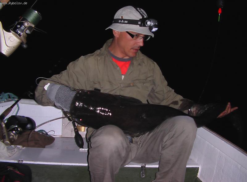 --�����. - ������� (����������)