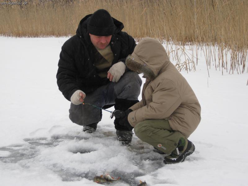 --�������� �����. - ������� (����������)