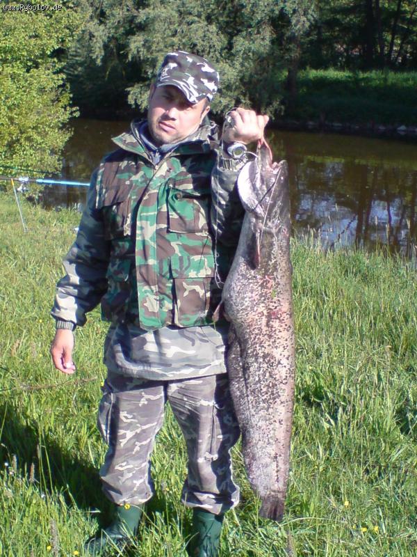 --Vils-2,  Maj  2008 - ������� (����������)