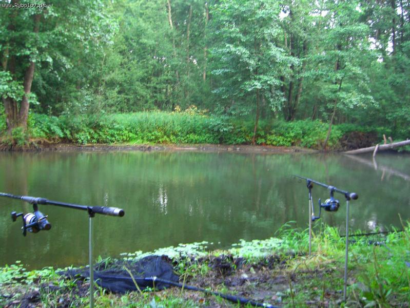 --�� �������� ����� ������ - ������� (����������)