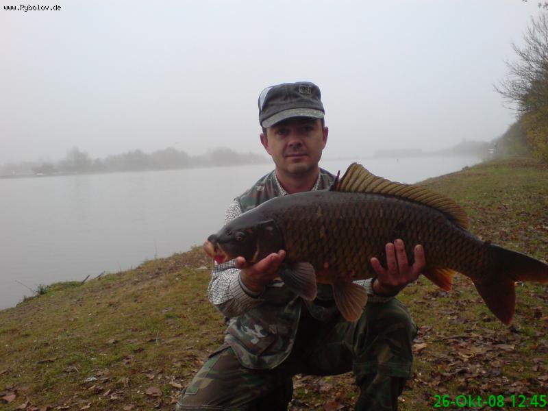 --Sasan. - ������� (����������)