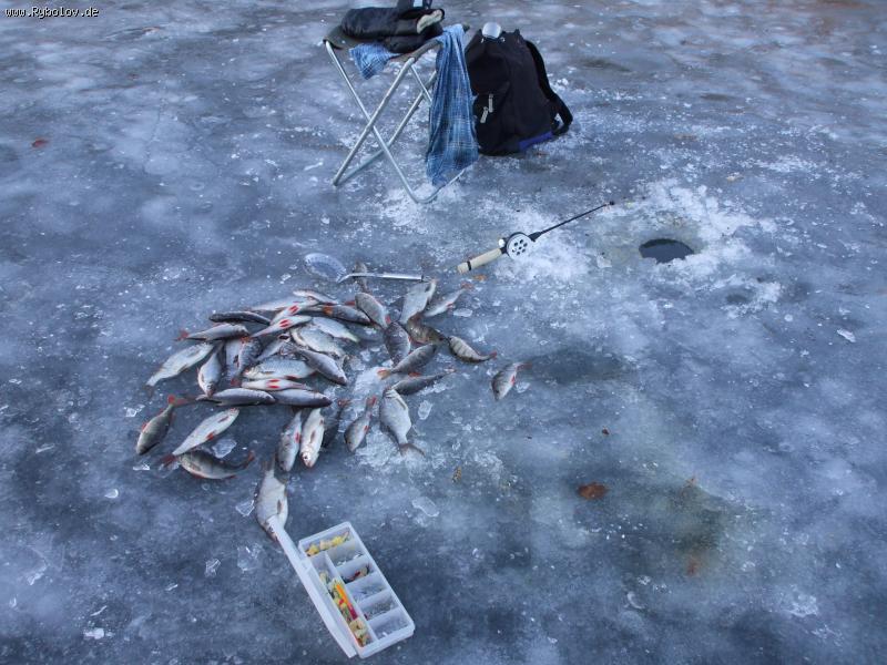 --Bleilochtalsperre -  ()