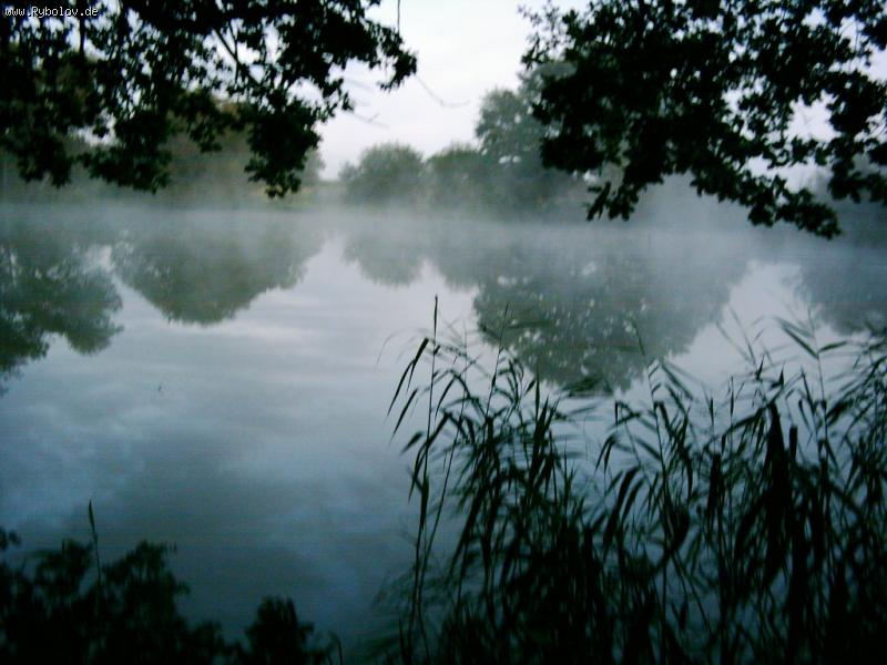 --���� - ������� (����������)