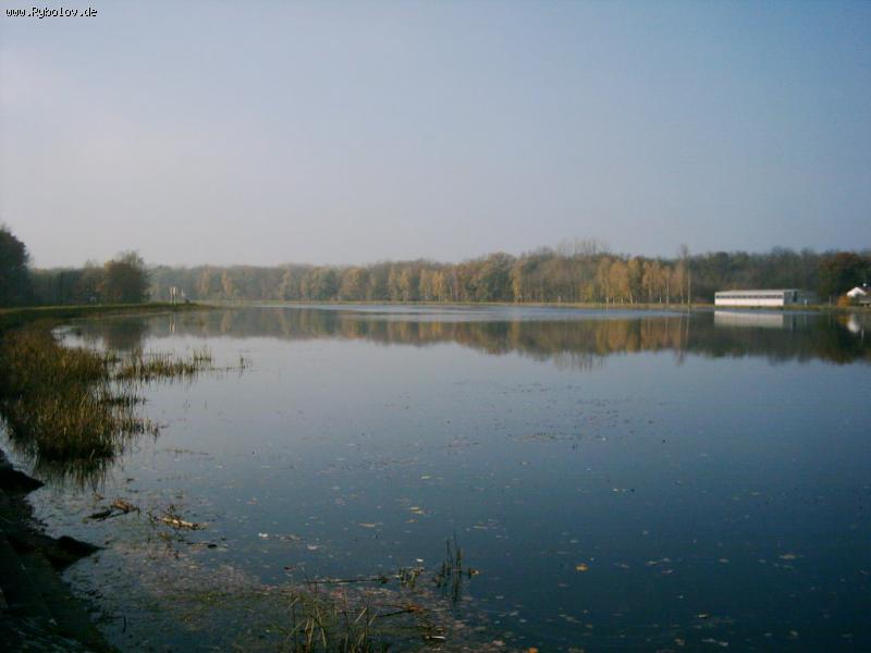 --  G&#252;nzburg -  ()