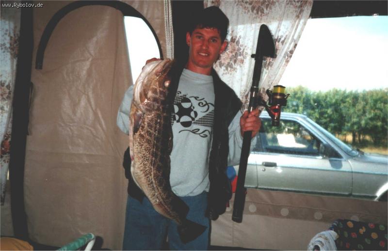 --���� - ������� (����������)