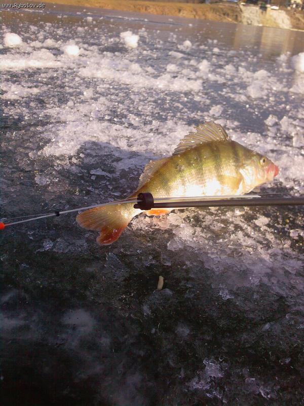 --������ ������ - ������� (����������)