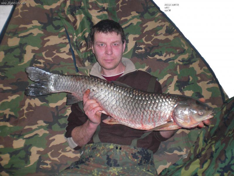 --����� ���� - ������� (����������)