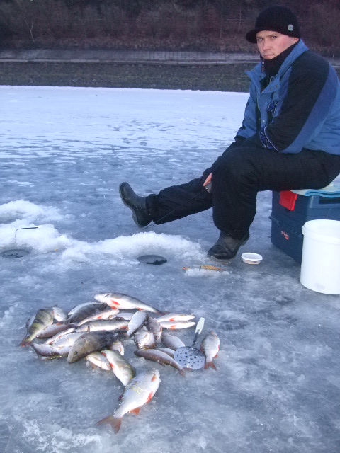 --Diemelsee 04.02. -  ()