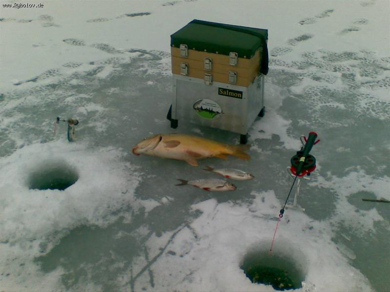 --��� ������ ��� ����� ����� �������? - ������� (����������)