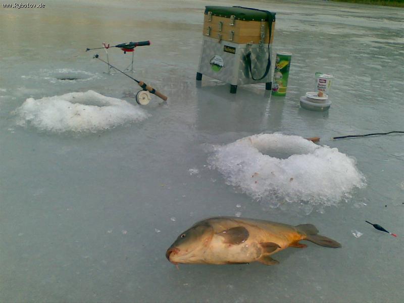 --� �� ������ ���� ���� �����. - ������� (����������)