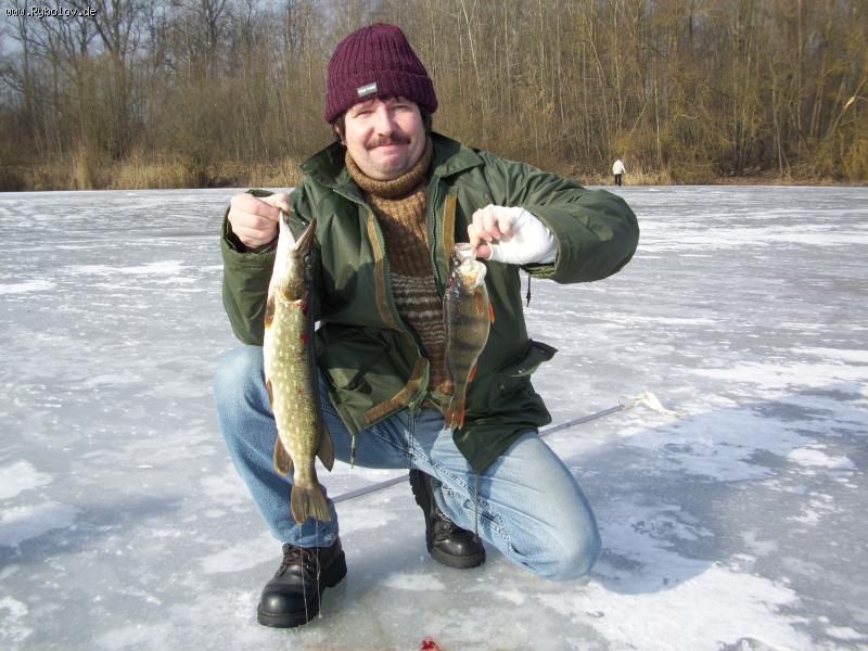 --Auwaldsee - ������� (����������)