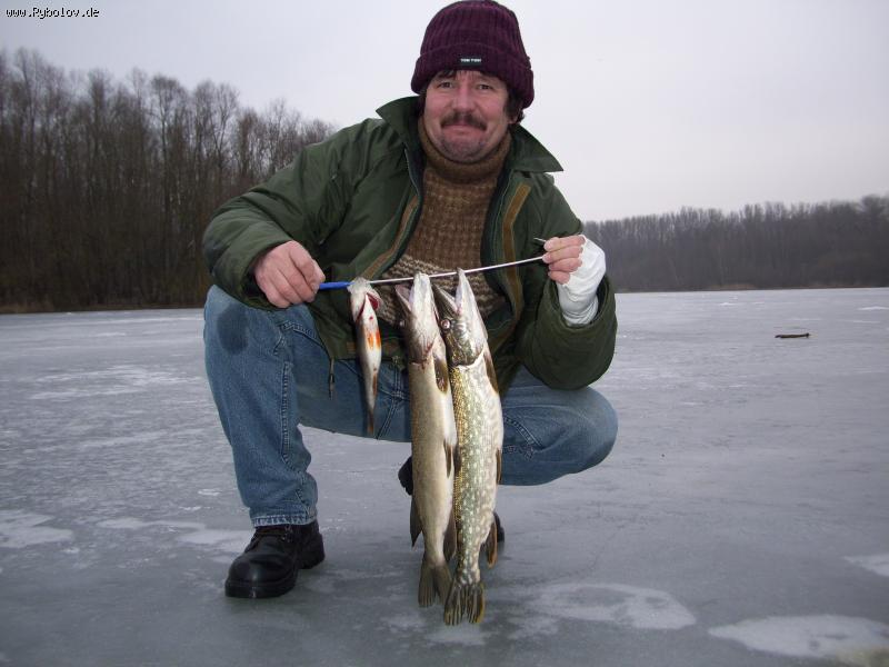 --Auwaldsee - ������� (����������)