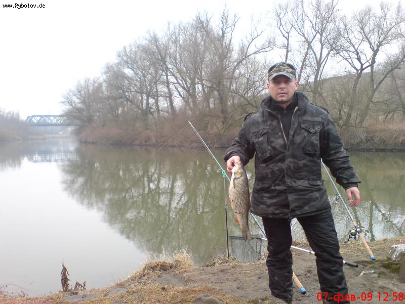 --���� �������,� ������������ ����� - ������� (����������)