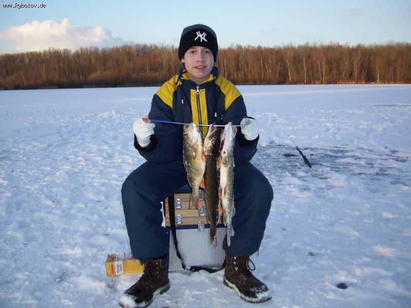 -- Auwaldsee - ������� (����������)