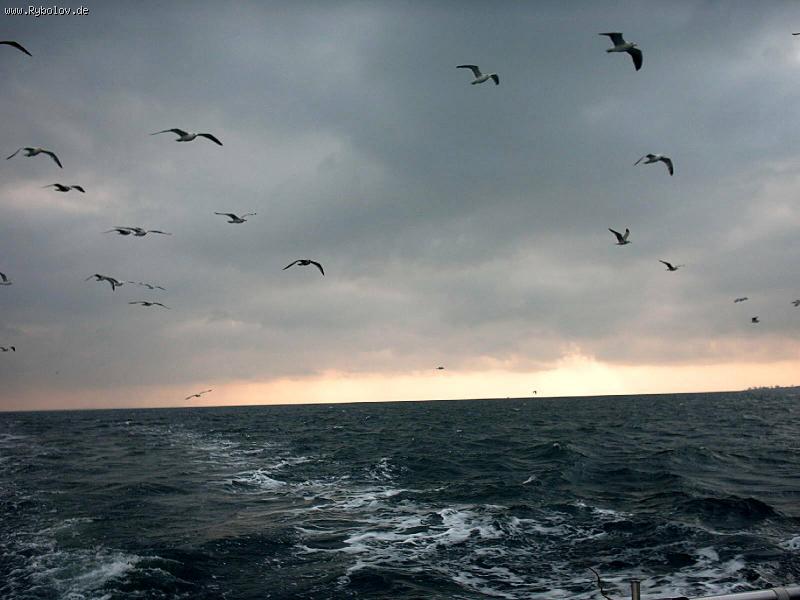 --Ostsee - рыбалка (фотоальбом)