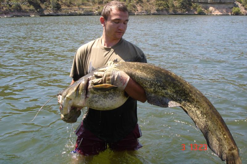 --Wels Spanien - ������� (����������)