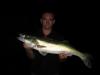 Zander -  ()