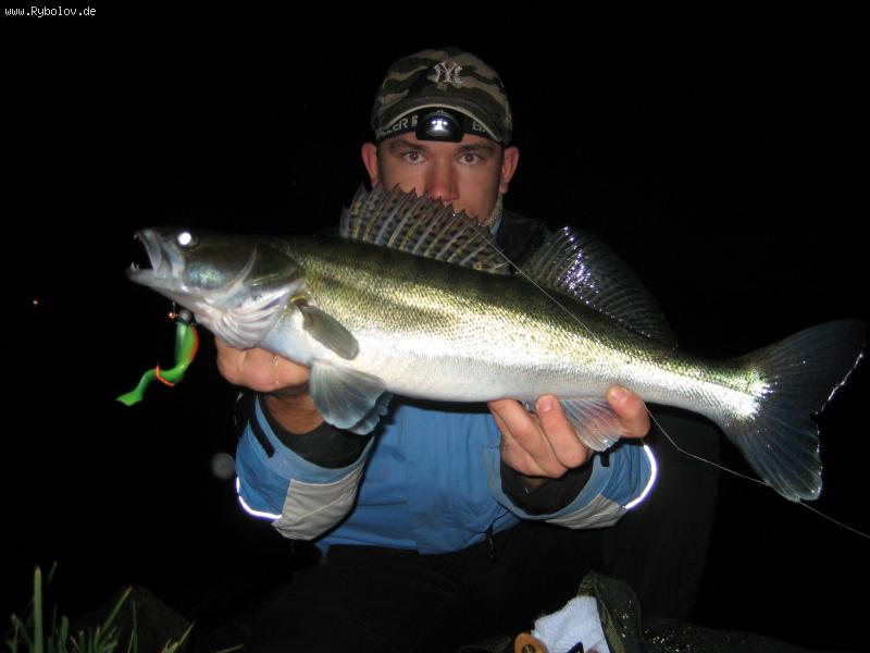 --Zander - ������� (����������)