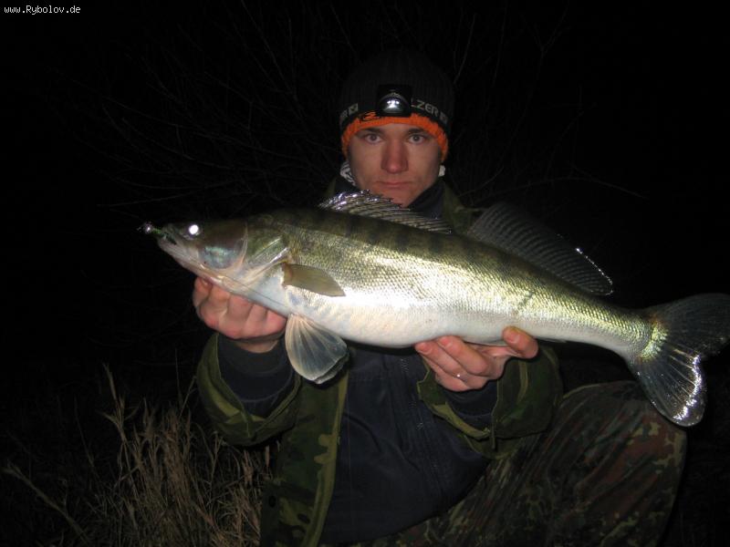 --Zander - ������� (����������)