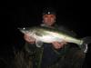 Zander -  ()