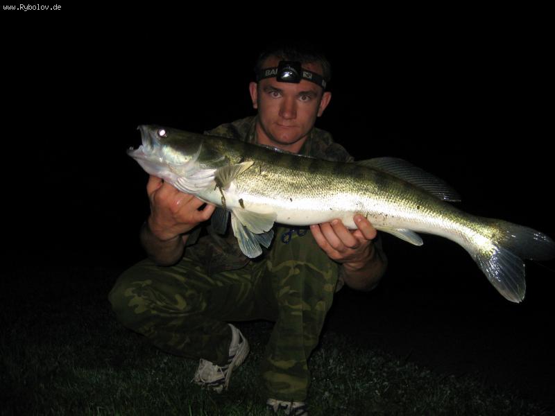 --Zander - ������� (����������)