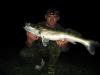 Zander -  ()