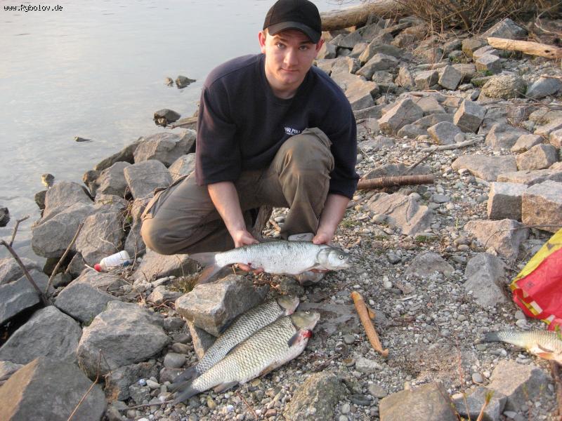 --1x Rapfen - 3x Döbel - ������� (����������)