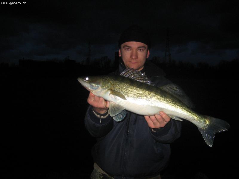 --Zander 2009 - рыбалка (фотоальбом)