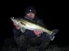 Zander 2009 -  ()